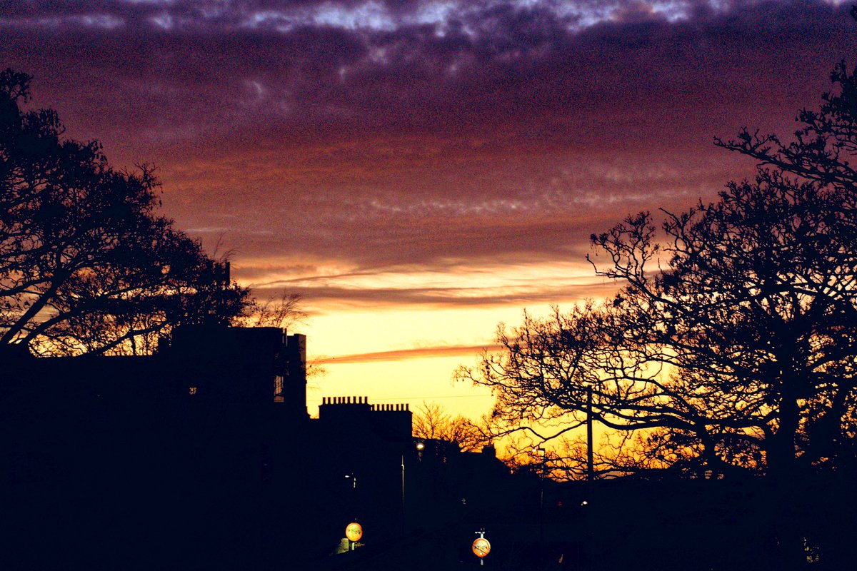 Natalie Hood tweet media