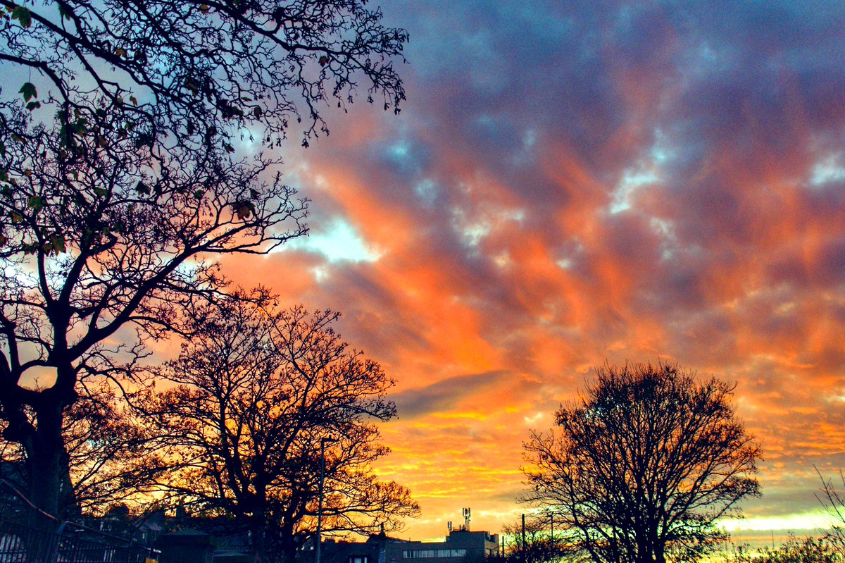 Natalie Hood tweet media