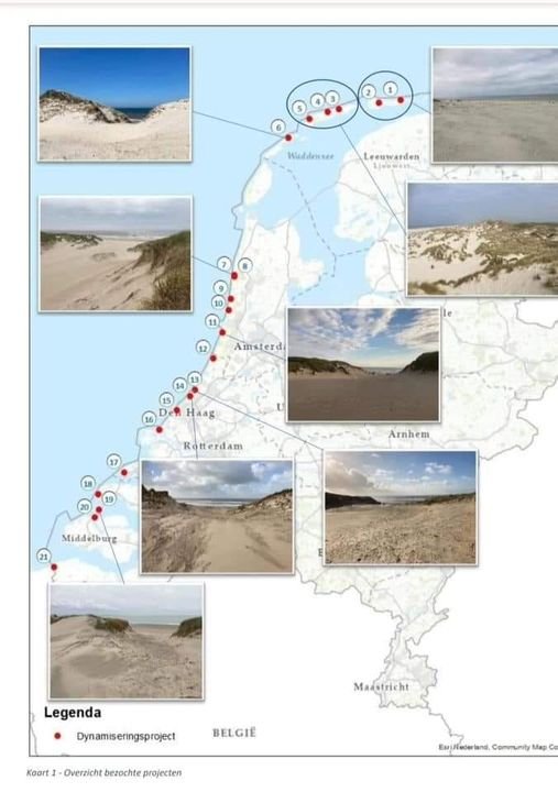 Johvsinderen's tweet photo. @mariannezw Ja we graven de #duinen door als #natuurontwikkeling opgave, maar wat betekent dat voor de #veiligheid tegen de #zee ten tijde van een #springtij en een zware #storm 🤔 Of hebben onze voorouders zich altijd voor niks hun best gedaan om de #duinenrij op peil te houden 🤔 https://t.co/7w7sCf3WR2