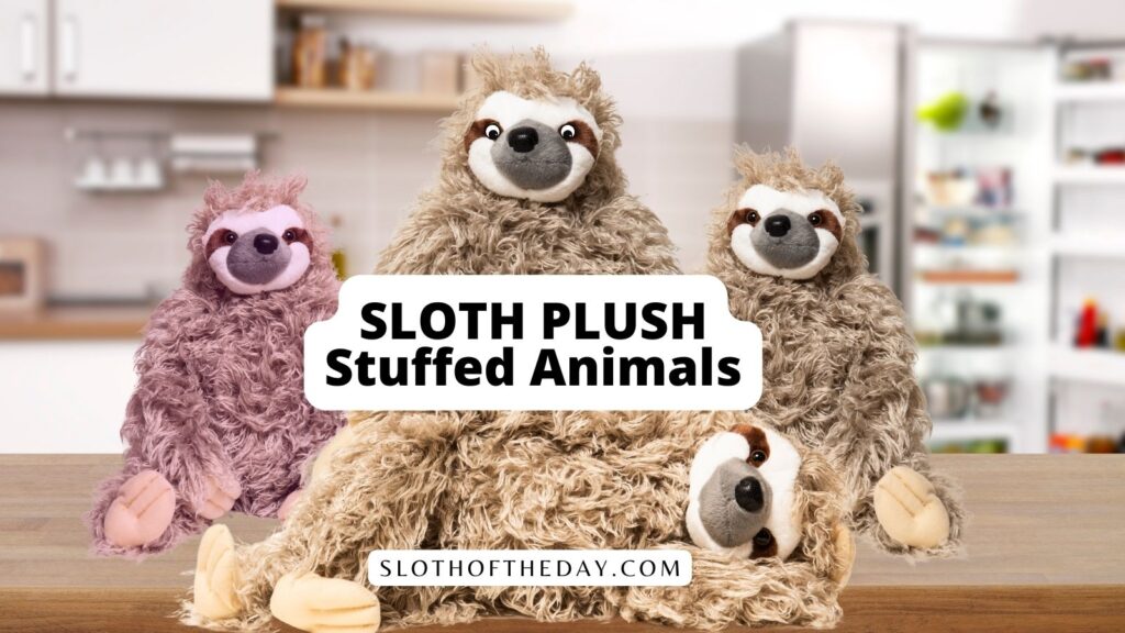 Sloth Plush Sloth Stuffed Animals 30+ To Choose From - slothoftheday.com/sloth-plush-sl… <a href="/day_sloth/">Sloth Of The Day</a>