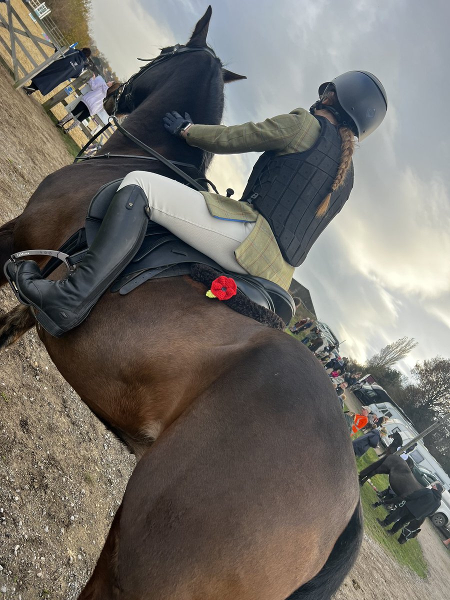 Suzeb99's tweet photo. Wearing his poppy with pride 🐴 https://t.co/oQJgMsrfqo