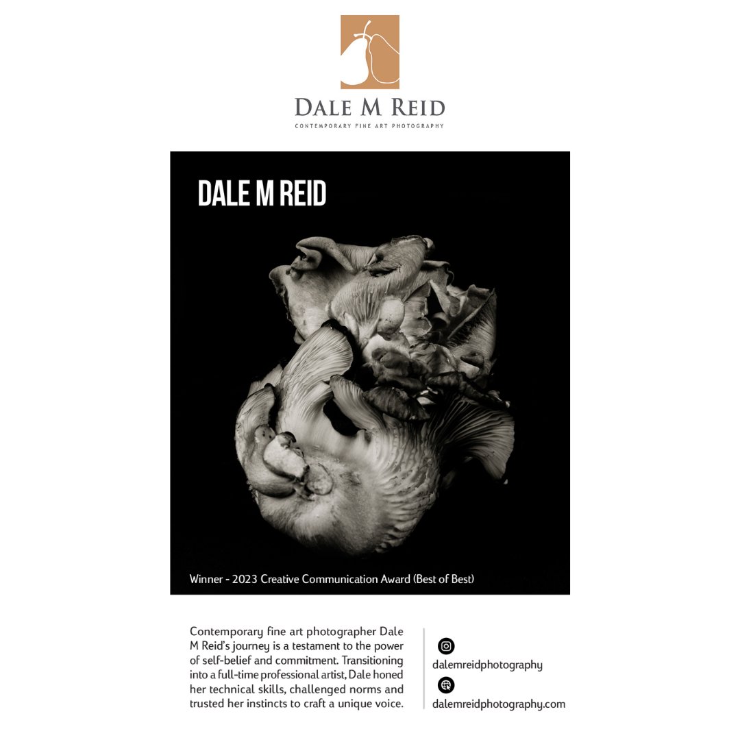 DaleMReid1's tweet photo. To view the magazine, please follow https://t.co/mf6WXU7MxS

#creativity #newyorkcity #contemporaryart #fineart #mushrooms #floralstudies #interiordesign #toronto #canada #unitedstates #spain #portugal #miami #minimalist #film #miamibeach #santafe #artbasel #buyart #venice https://t.co/lvfJpJu8Ys