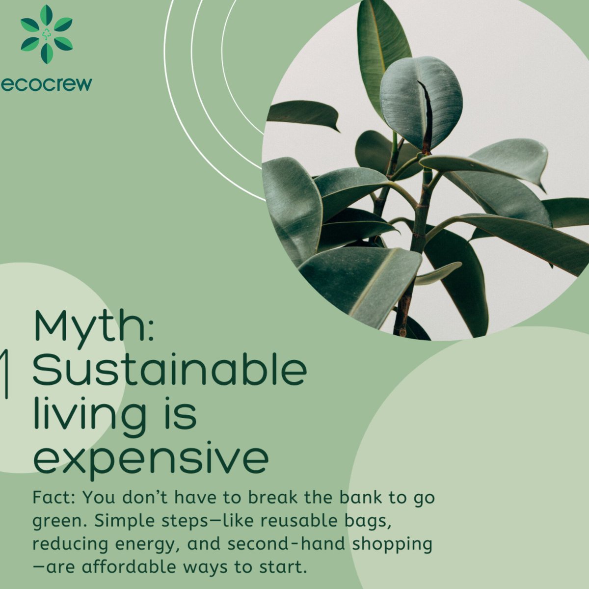 Ecocrew tweet media