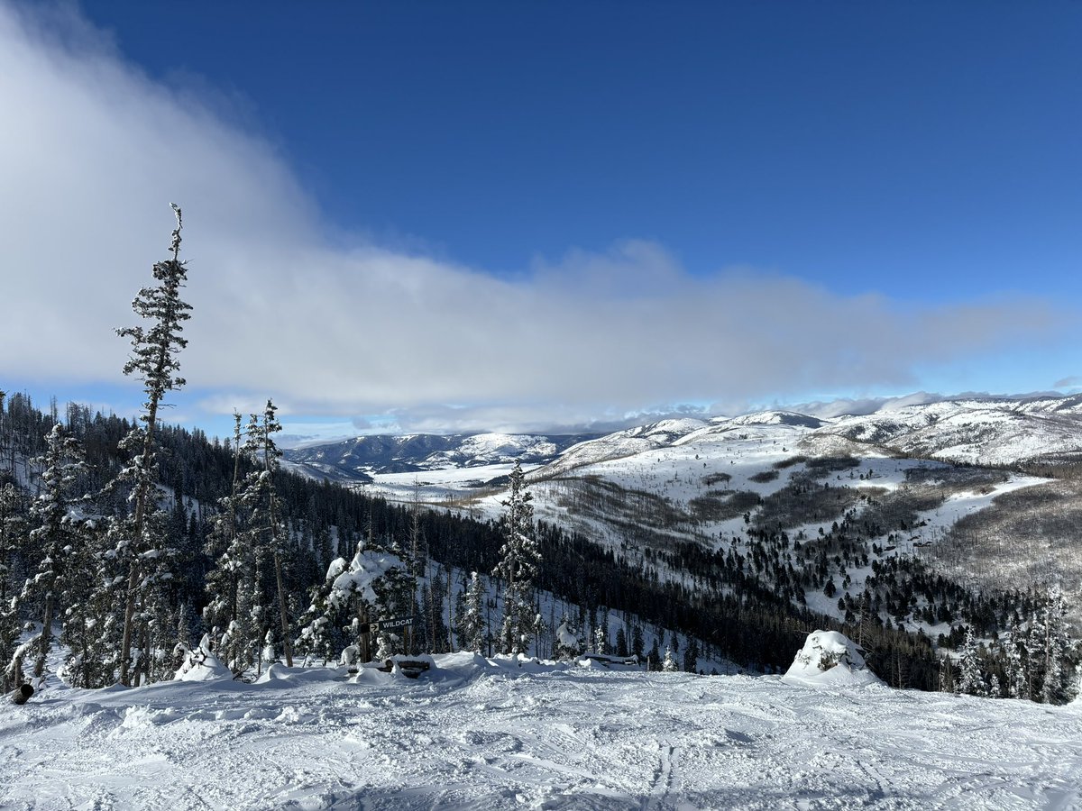Alexandra Millhuff (@alexmillhuffdo) on Twitter photo Yesterday I skied 3 feet of fresh powder (my day off) and today I deployed my first coronary stent for an NSTEMI pt 
in the cath lab (with a lot of guidance and supervision). 
Is this real life?? 🥲 Yesterday I skied 3 feet of fresh powder (my day off) and today I deployed my first coronary stent for an NSTEMI pt 
in the cath lab (with a lot of guidance and supervision). 
Is this real life?? 🥲