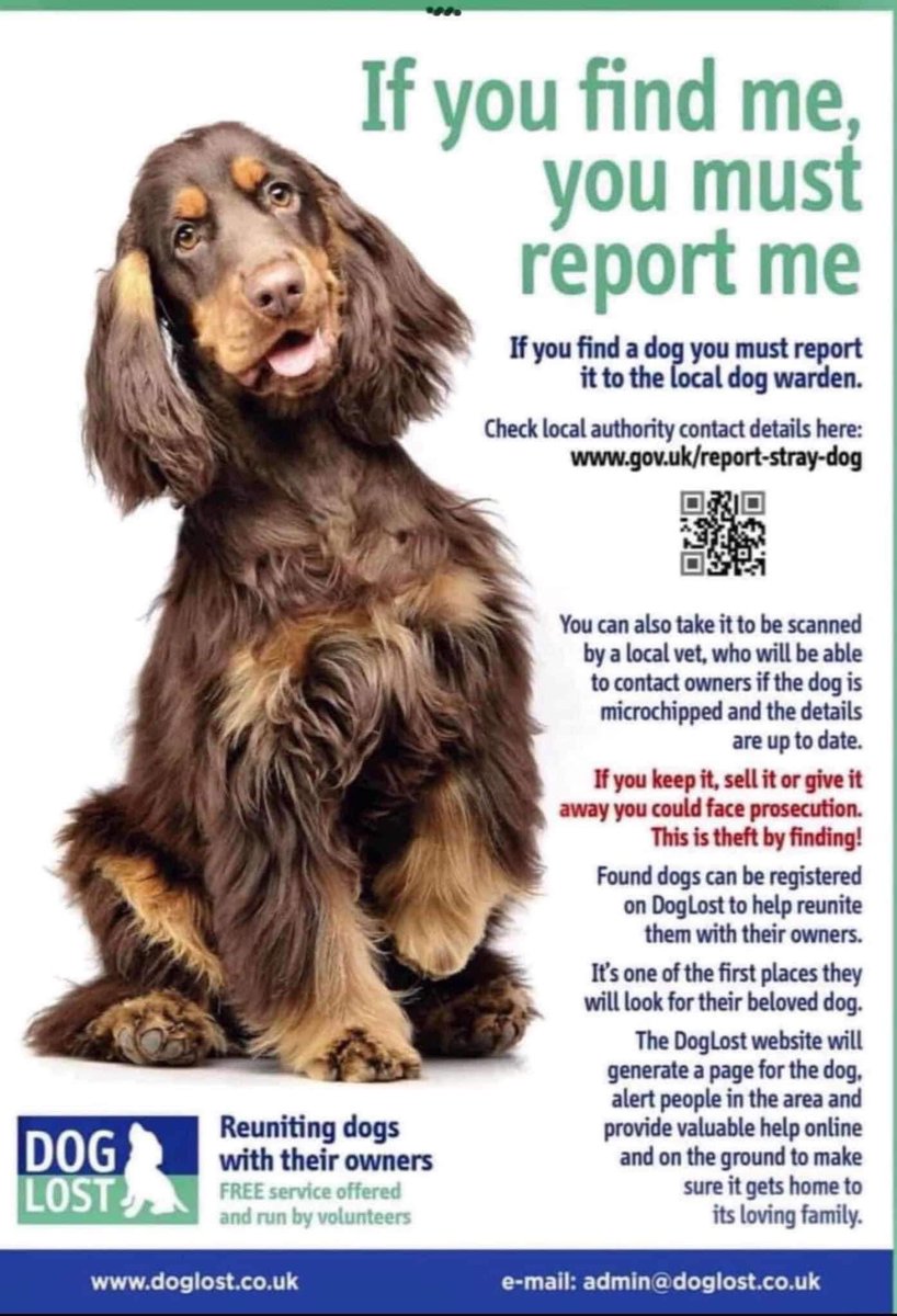 #StolenDogHour 

SUE HAS BEEN MISSING SINCE RUNNING FROM #Fireworks 🧨20/5/23 
#Codrington SOUTH #Gloucester #BS37 
Female/adult #BorderCollie 

doglost.co.uk/dog-blog.php?d…

<a href="/RachaelB100/">Rachael</a> <a href="/JacquiSaid/">Dogs of Tooting 1</a> <a href="/qu1ncey/">Liz Quinn</a> <a href="/qu1ncey/">Liz Quinn</a> <a href="/alid2912/">ali d</a> <a href="/BitofDecorum/">Debby Morris 🐕🐾💕</a>