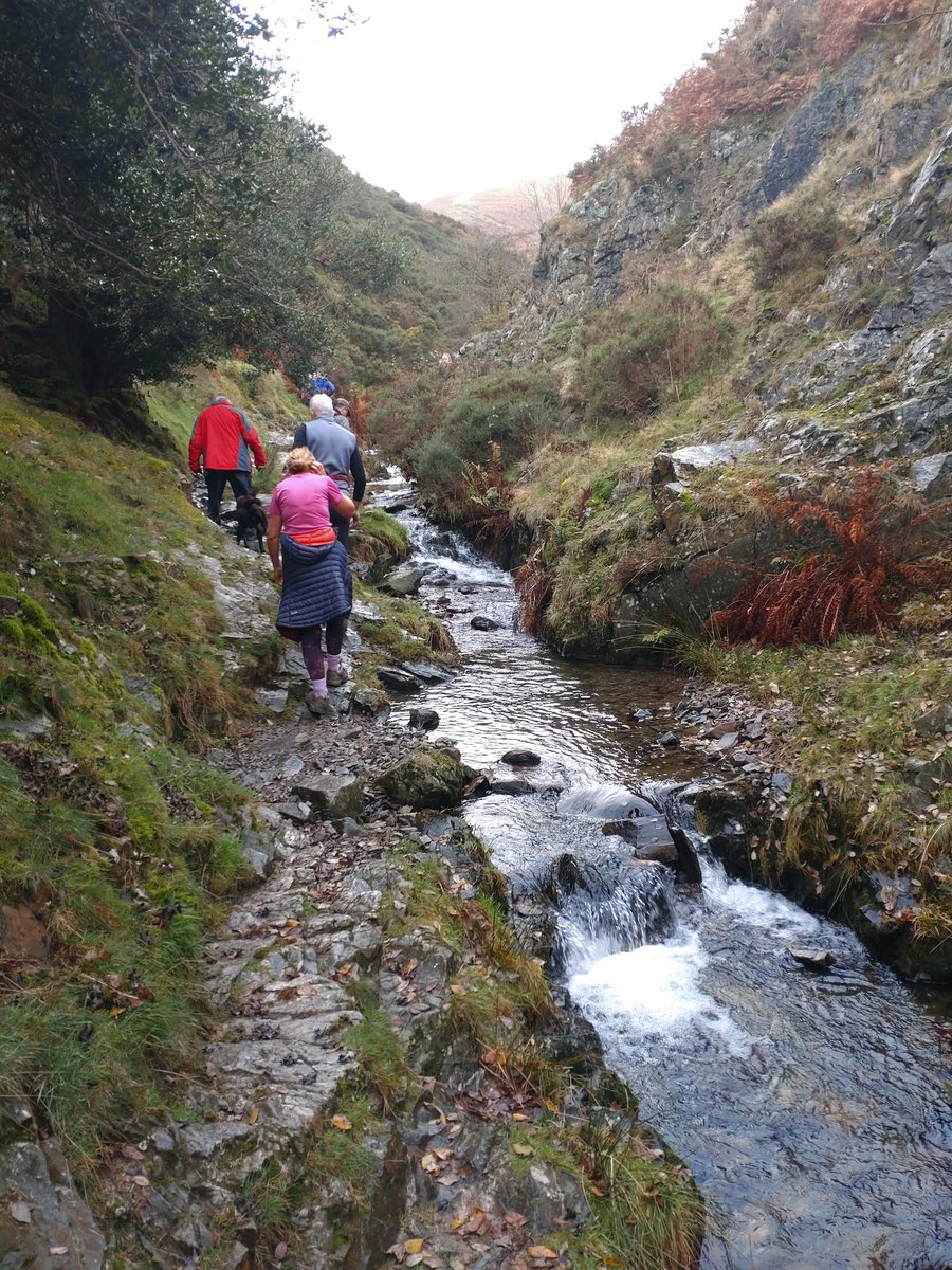Stuart Edmunds (@pinemartensuk) on Twitter photo Mammal surveying in the wonderful #Shropshire hills today. Signs of otters, foxes and pine marten recorded, so a pretty successful hike!
<a href="/WildlifeMag/">BBC Wildlife</a> #nature Mammal surveying in the wonderful #Shropshire hills today. Signs of otters, foxes and pine marten recorded, so a pretty successful hike!
<a href="/WildlifeMag/">BBC Wildlife</a> #nature
