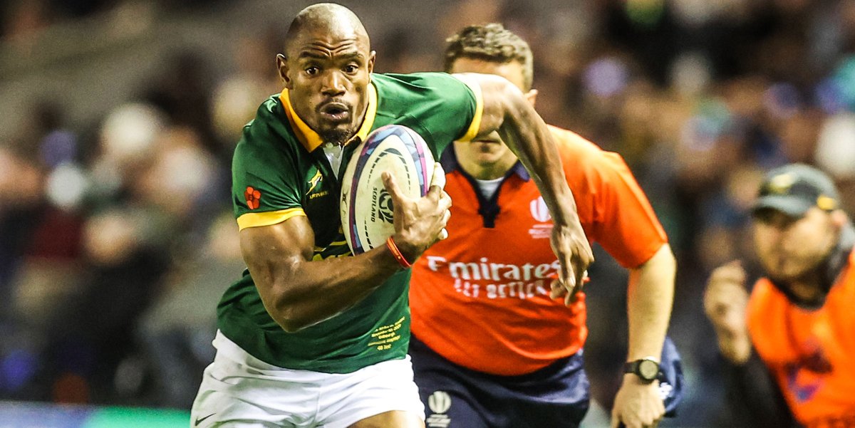 Springboks tweet media