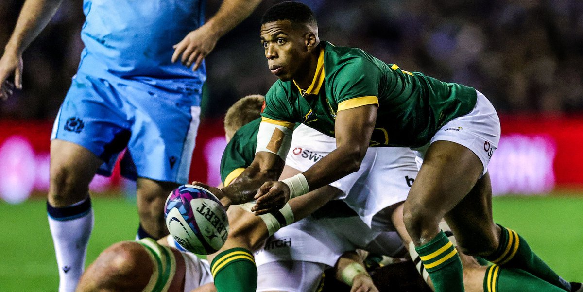 Springboks tweet media
