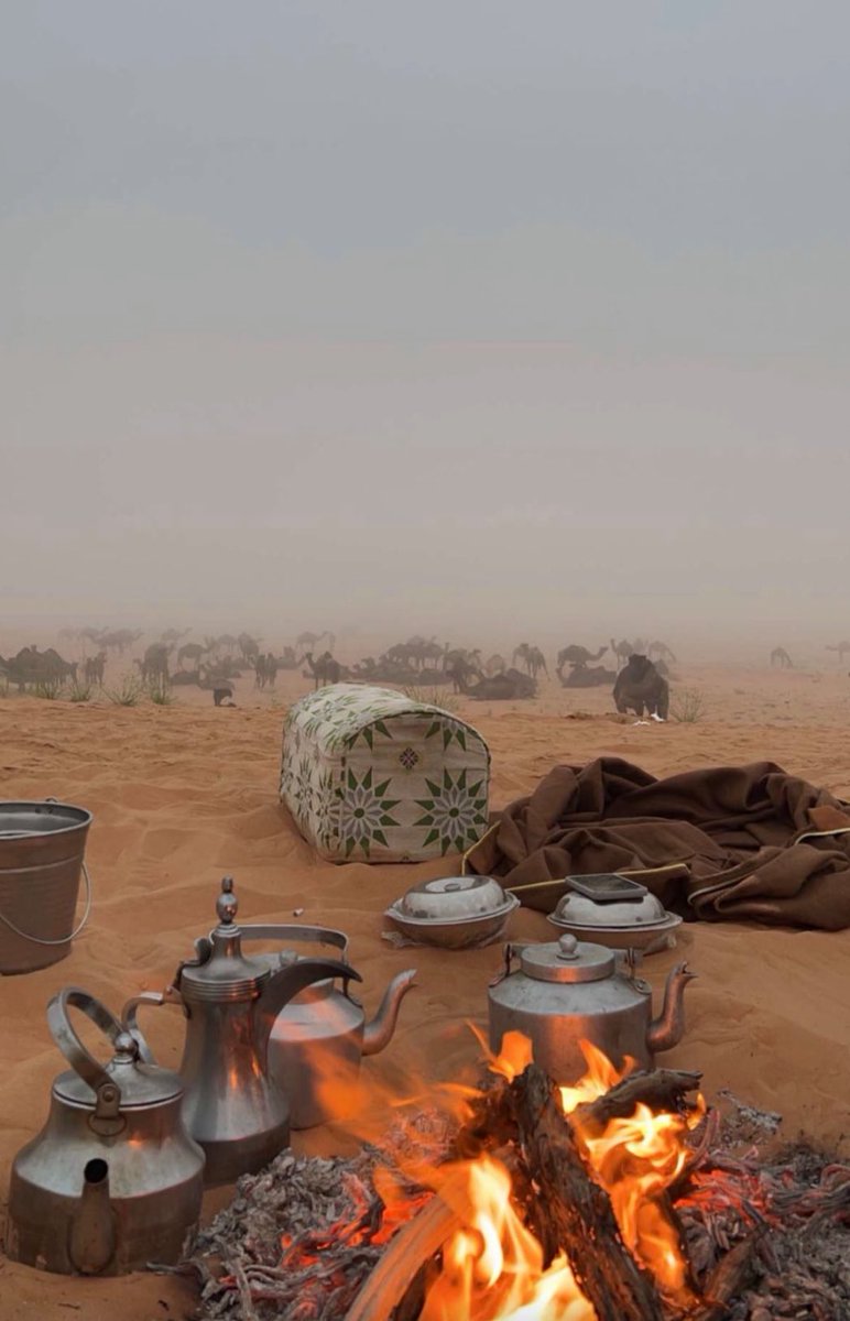 الله على دله ومركى وفنجال 
وضوٍ سناها يبري الفين عله