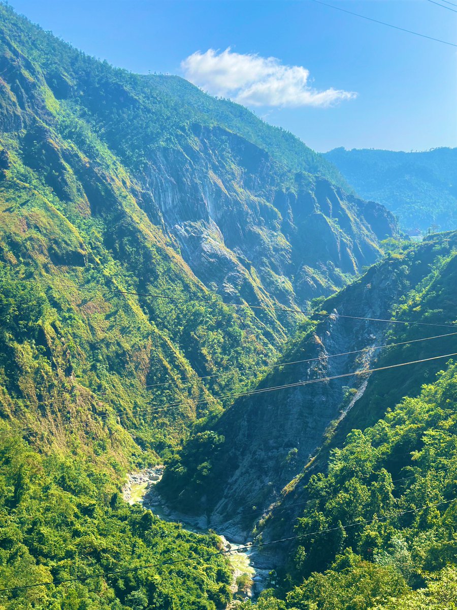 पाल्पा 😍