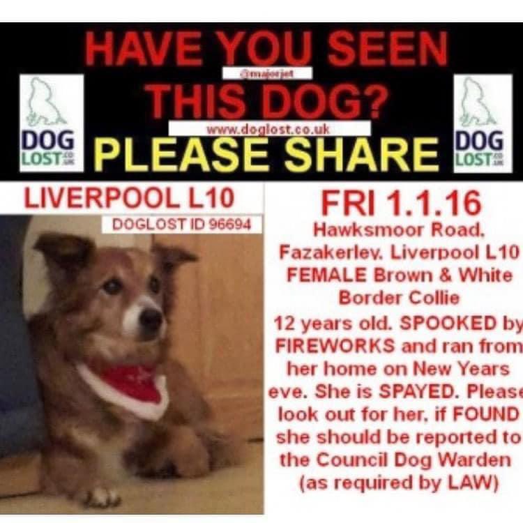 Rosie Doc tweet media