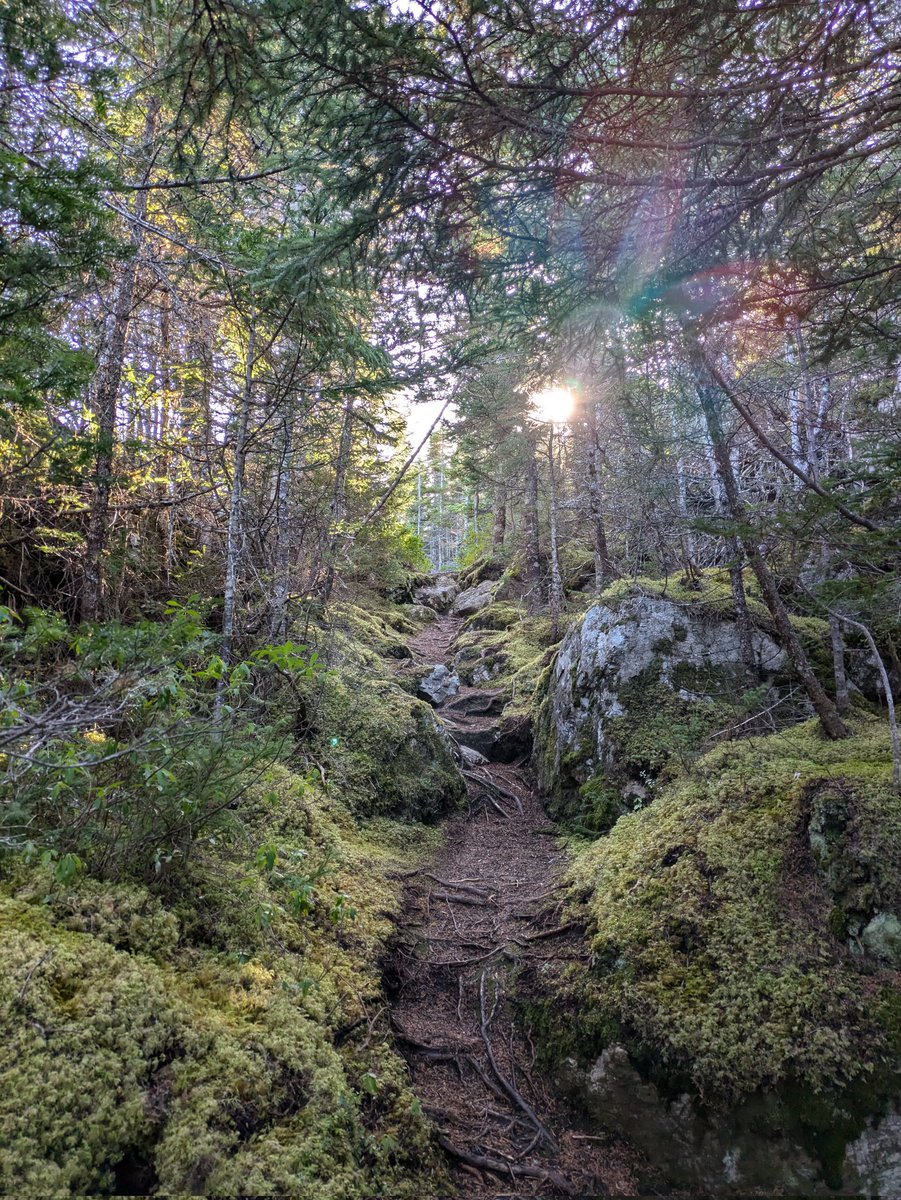 Talamh an Éisc 🇨🇦 tweet media