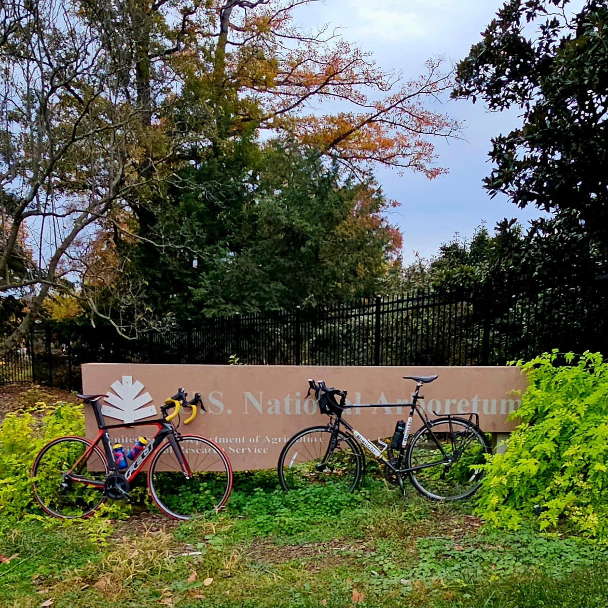Chris_Roell's tweet photo. Today's Urban Adventure
Bicycle Ride was a 26-mile jaunt out to the National Arboretum in DC. #bikedc #urbanadventureride #uabicycleride #nationalarboretum #washingtondc #uabicycleride https://t.co/YfQC3LABBY