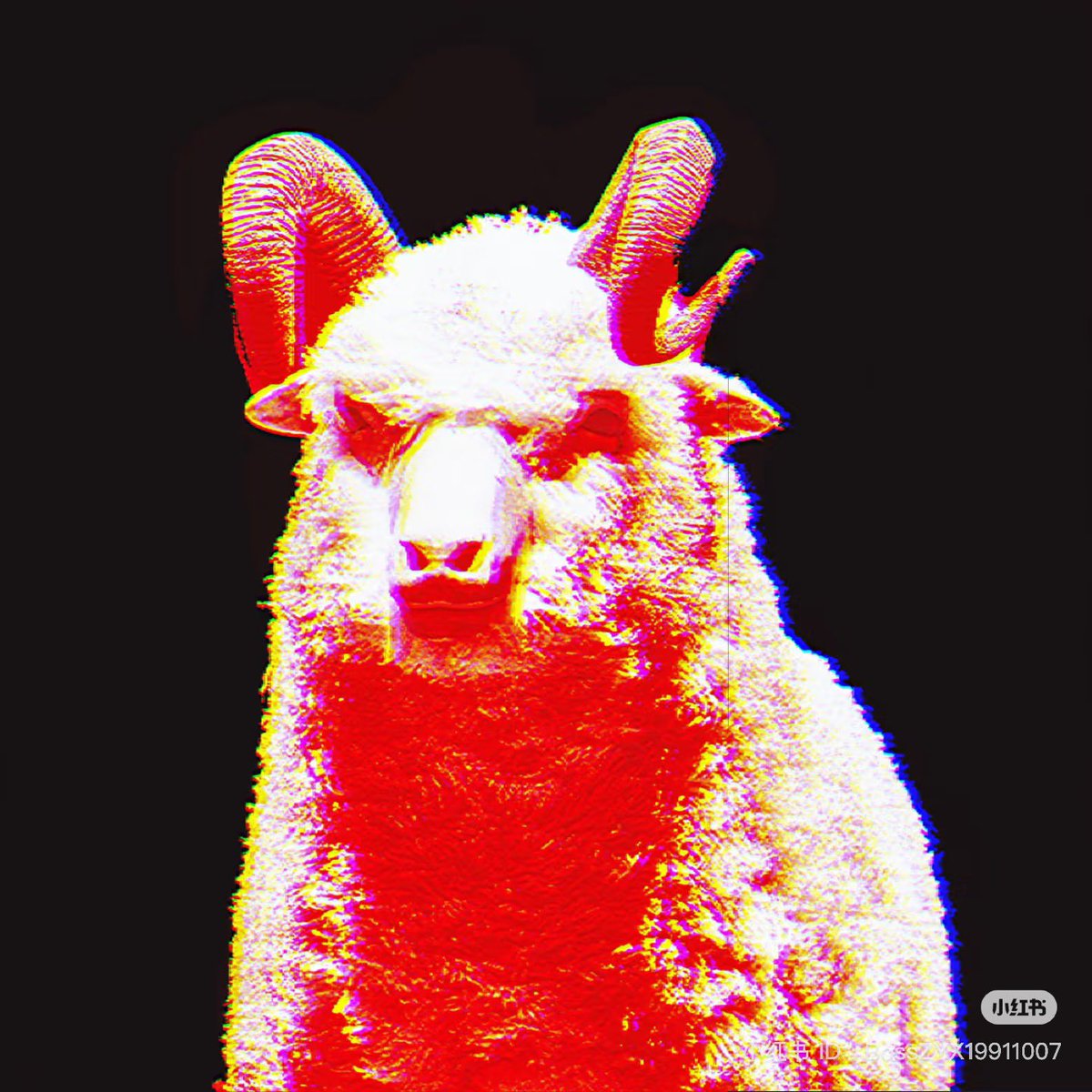 meruten4's tweet photo. 赤目🐏に夜中に出会したら半泣きな
#LAY #Layzhang #ZhangYixing #张艺兴 #レイ
#STEP
#LAY_STEPbySTEP
#LAYs_STEP
#厦门 #アモイ https://t.co/Bf6C1ravFj