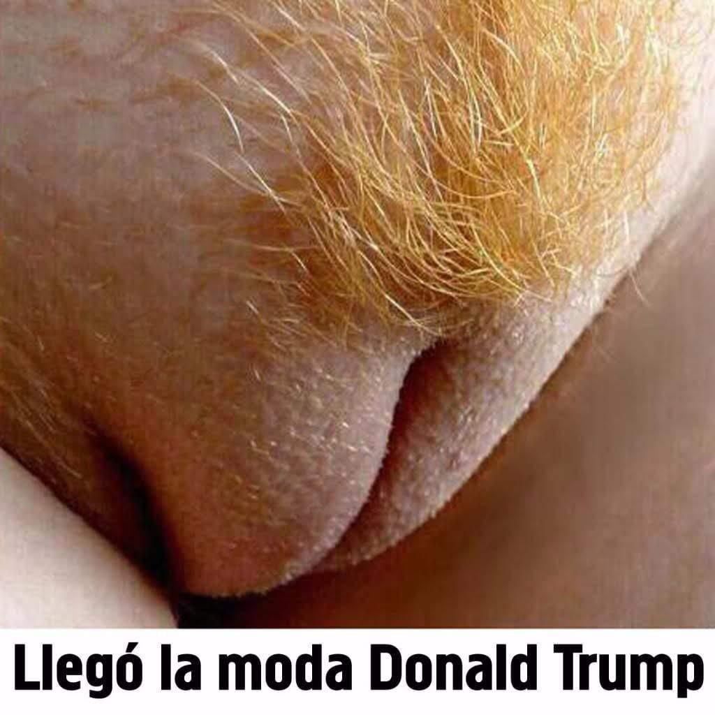 DonMemazos's tweet photo. https://t.co/lKonCdBZll