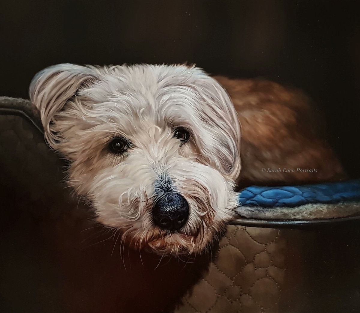 EdenPortraits's tweet photo. Throwback post to Freddi.... Still one of my favourite dog portraits 😊
FREDDI, oil on board, 12 x 16"
#beardedcollie #beardedcolliesofinstagram #art #art🎨 #artist #artistsofinstagram #oilportrait #painting #dogpainting #gallery #doggallery #petsofinstagram #artistoninstagram https://t.co/Fm4otQwerm