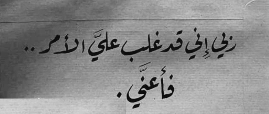 عبدالملك الحالي (@abdulmalk2023) on Twitter photo 