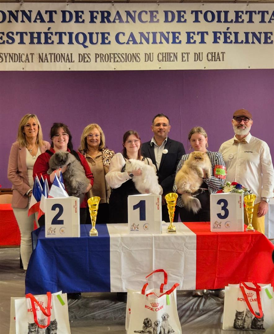 CFPMarmande's tweet photo. 🎉🏆 **Félicitations à nos apprenties au Championnat de France 🇫🇷 de Toilettage !** 🏆🎉

#ChampionnatDeFrance #ToilettageCanin #ToilettageFélin #Félicitations #Fierté #CitéDeLaFormation #TalentsEnOr https://t.co/RdbkoaRyzV