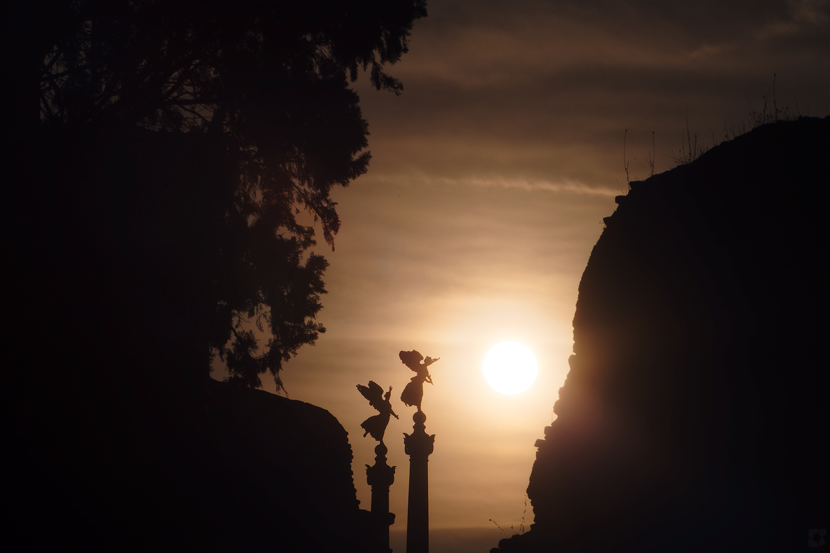 EmaSerraino's tweet photo. pes captum
#Roma #Rome #AltaredellaPatria #AltaroftheFatherland #vittoriealate #wingedvictories #controluce #backlight #backlightphotography #intothesun https://t.co/LCYfVnK3Kp