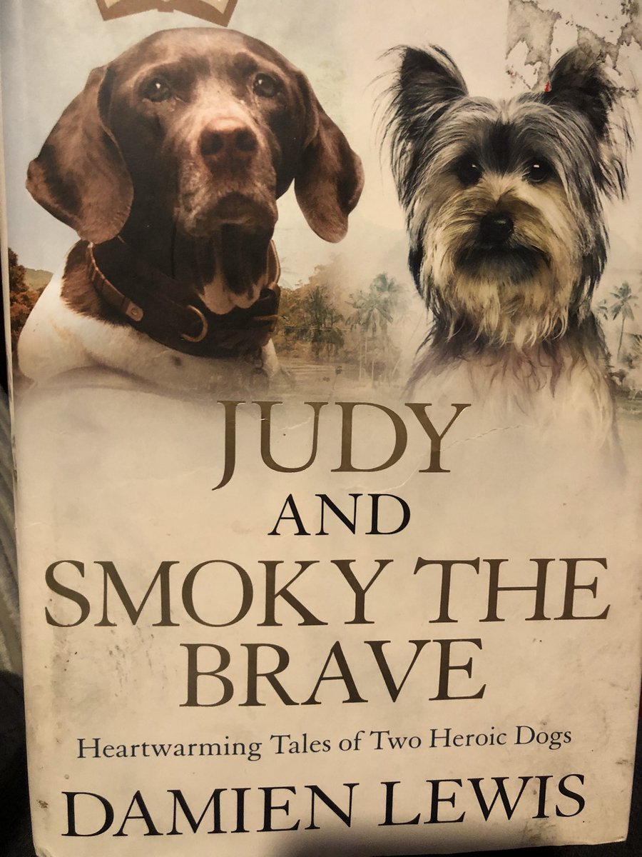 TrueBlue5376's tweet image. Judy, the only dog to be officially recognised as a prisoner of war during WW2. I have a two in one book telling Judy’s story along with the story of another war dog called Smoky. #RememberanceDay2024 #RememberanceDay #AnimalsOfWar #Dogs.