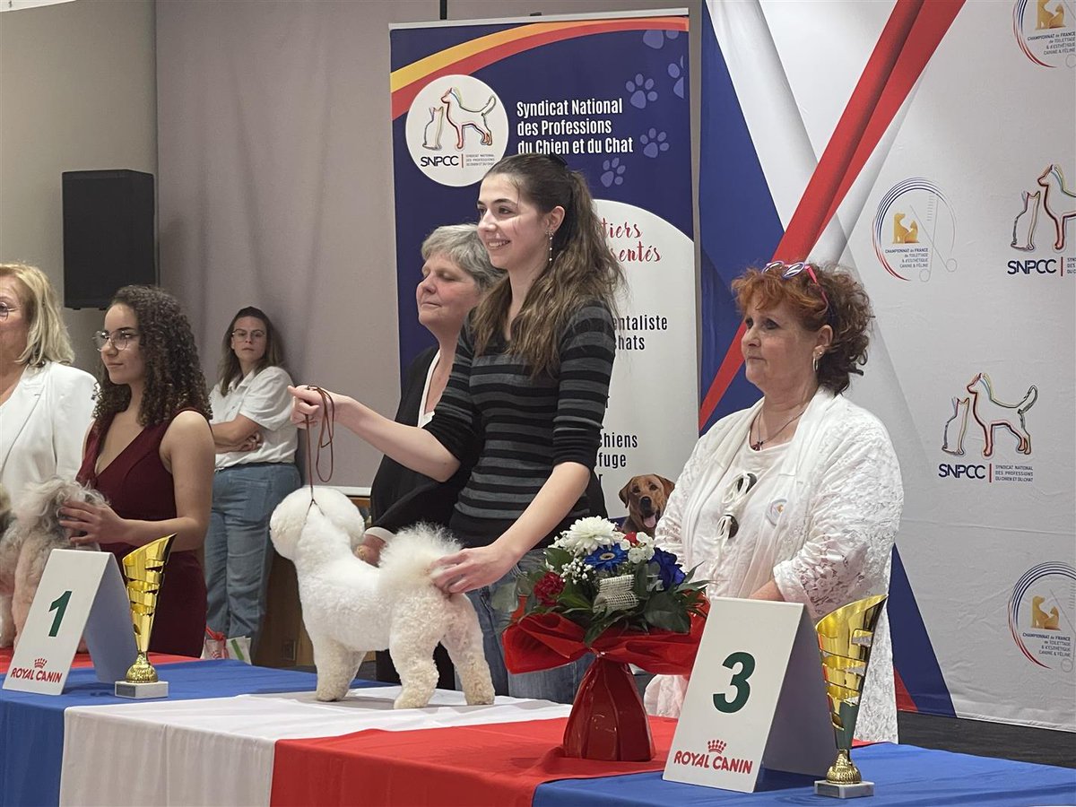 CFPMarmande's tweet photo. 🎉🏆 **Félicitations à nos apprenties au Championnat de France 🇫🇷 de Toilettage !** 🏆🎉

#ChampionnatDeFrance #ToilettageCanin #ToilettageFélin #Félicitations #Fierté #CitéDeLaFormation #TalentsEnOr https://t.co/RdbkoaRyzV