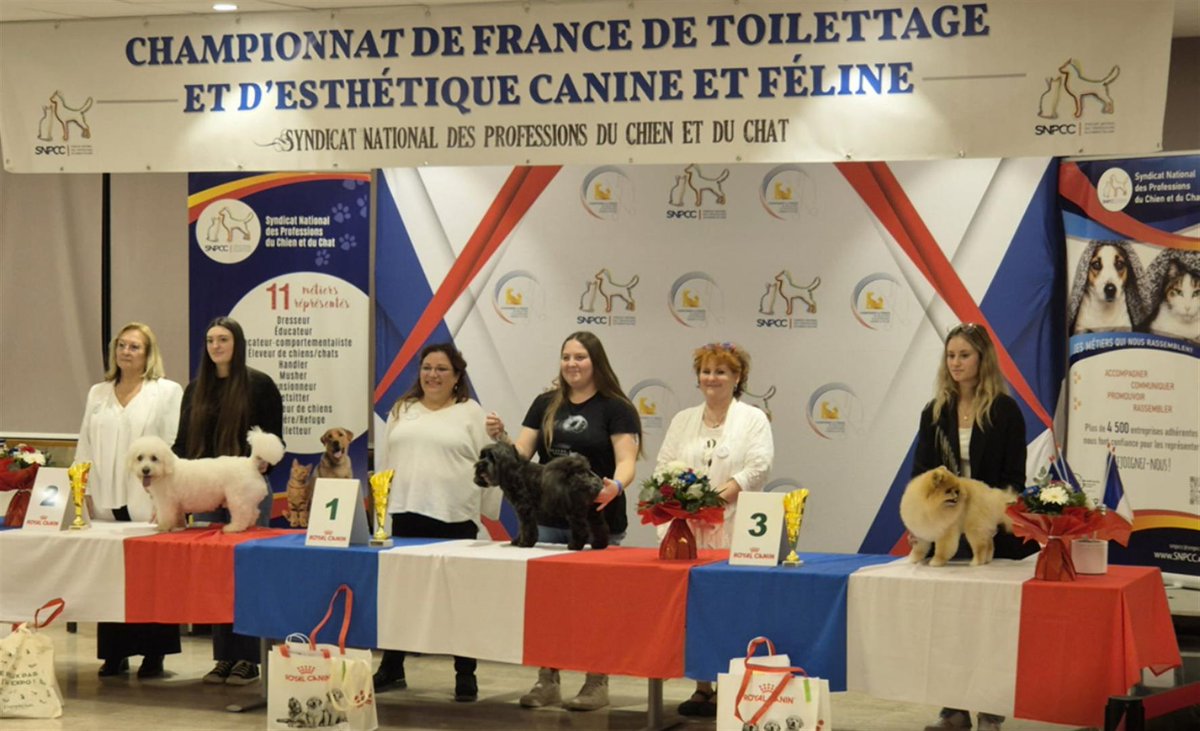 CFPMarmande's tweet photo. 🎉🏆 **Félicitations à nos apprenties au Championnat de France 🇫🇷 de Toilettage !** 🏆🎉

#ChampionnatDeFrance #ToilettageCanin #ToilettageFélin #Félicitations #Fierté #CitéDeLaFormation #TalentsEnOr https://t.co/RdbkoaRyzV