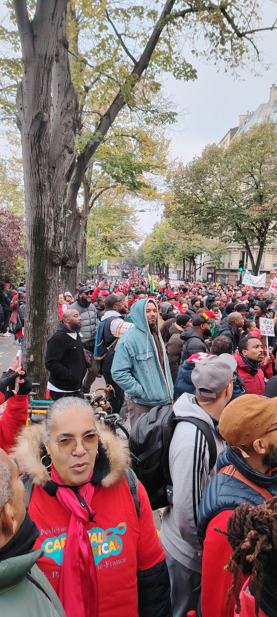 Le 3 novembre nous étions mobilisés à Paris contre la vie chère en #Martinique #Guadeloupe #Guyane..