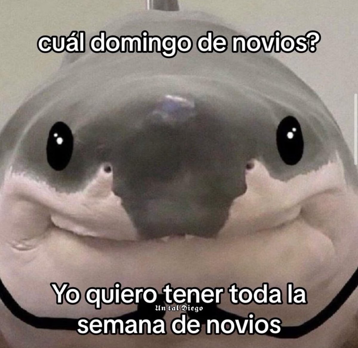 soyMargarlto's tweet image. Eiii