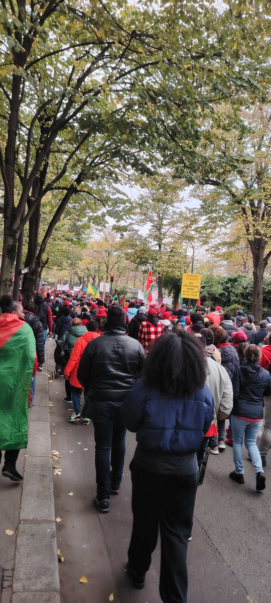Le 3 novembre nous étions mobilisés à Paris contre la vie chère en #Martinique #Guadeloupe #Guyane..