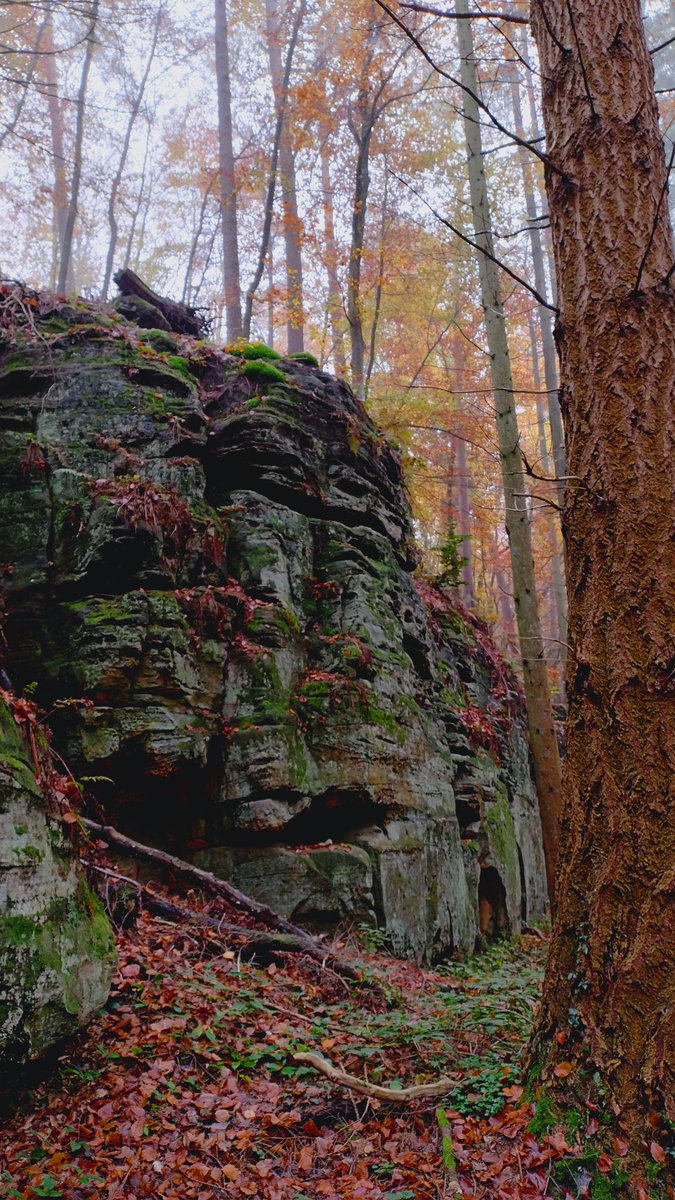 Jorge Barrasa Fano (@barrasa_fano) on Twitter photo 🪨 The rocks at #Beaufort whisper 200 million year secrets to each other.
<a href="/MullerthalTrail/">Mullerthal Trail</a> 🪨 The rocks at #Beaufort whisper 200 million year secrets to each other.
<a href="/MullerthalTrail/">Mullerthal Trail</a>