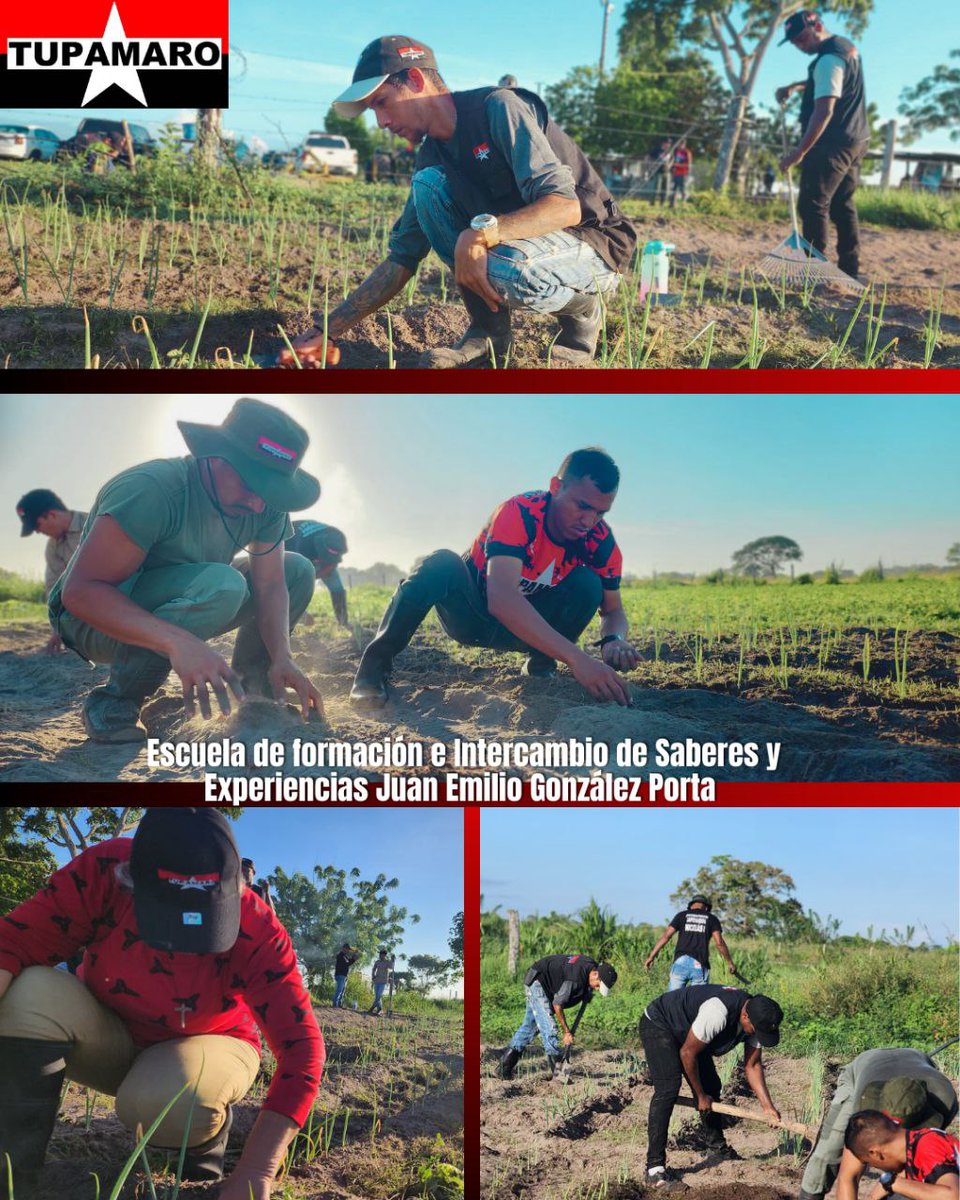francessco_4020's tweet photo. El trabajo colectivo es una dinámica permanente en el desarrollo de la actividad del Partido y de todos los militantes. 
#TupamaroEjemploDeLucha
#TodoElPartidoUnaEscuela 
@NicolasMaduro @TupamaroMRT_ https://t.co/joWkDlSeJt