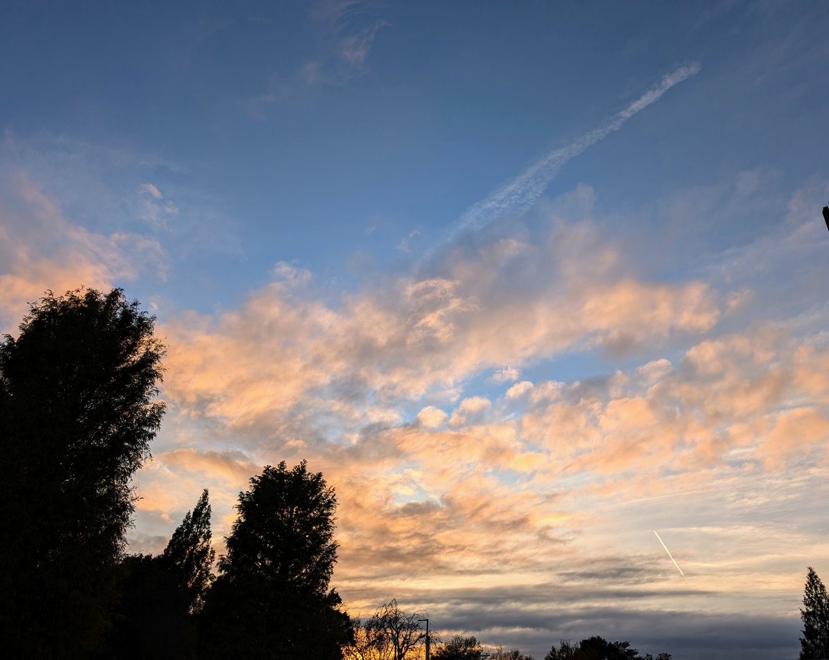 mayuyu164's tweet photo. いつかの #夕焼け空

#焼けた雲 #木々のシルエット を眺め
ほっとひととき

なにも考えず
ぼ〜っと空を
見ている時間が好き

今日1日
みなさんにとって
笑顔いっぱいの日に
なりますように(*˘︶˘*).｡.:*♡ https://t.co/QLe96At2cb