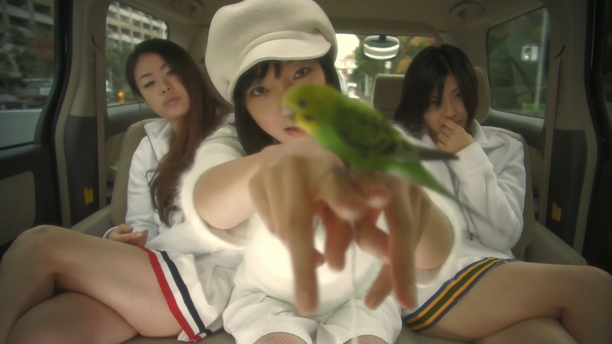 HORROR NO DRIVE tweet media