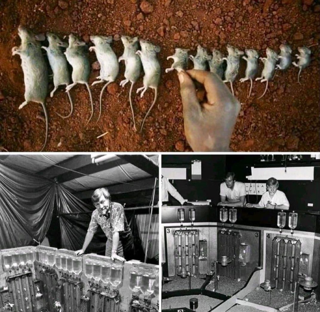 Interesting STEM tweet media