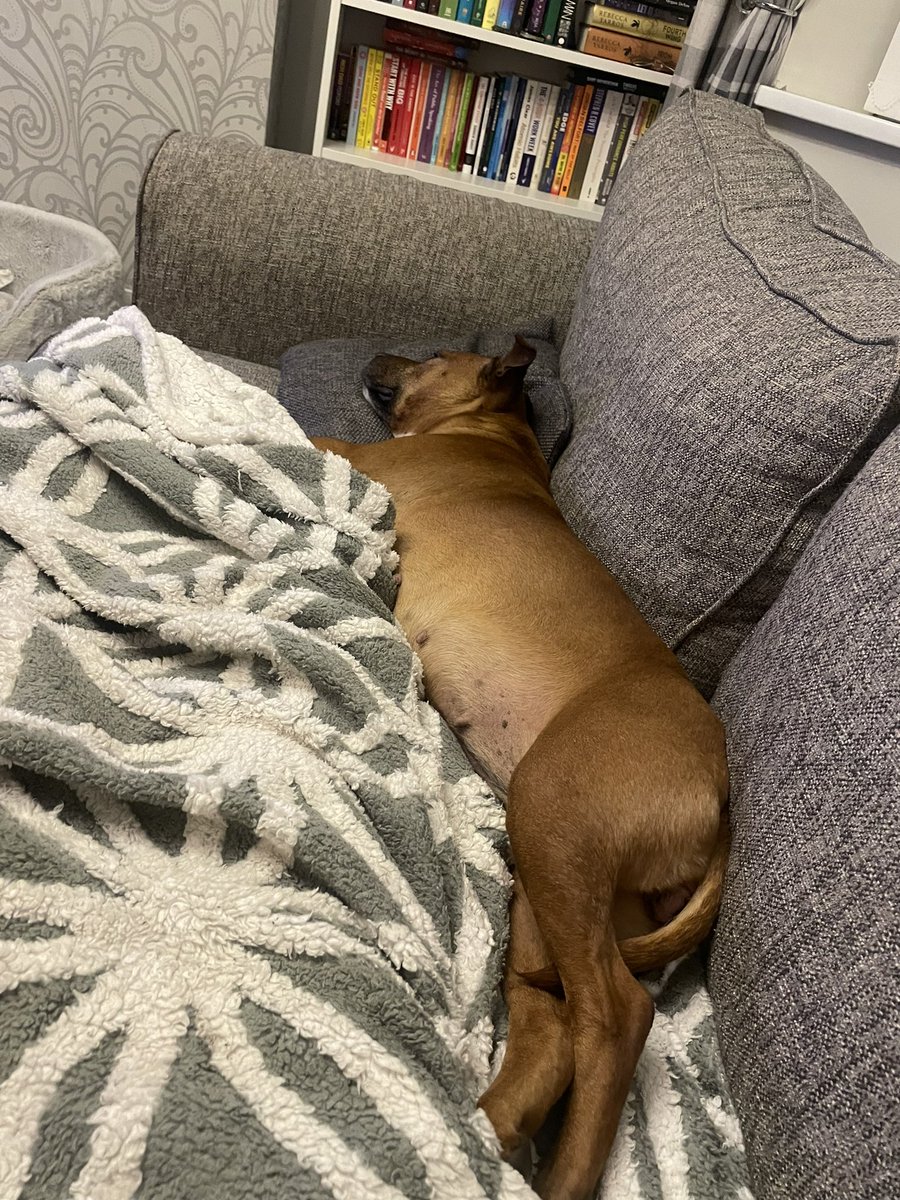 NFTKatie's tweet photo. It’s a hard life 🥹 https://t.co/zTT8Rvlppp