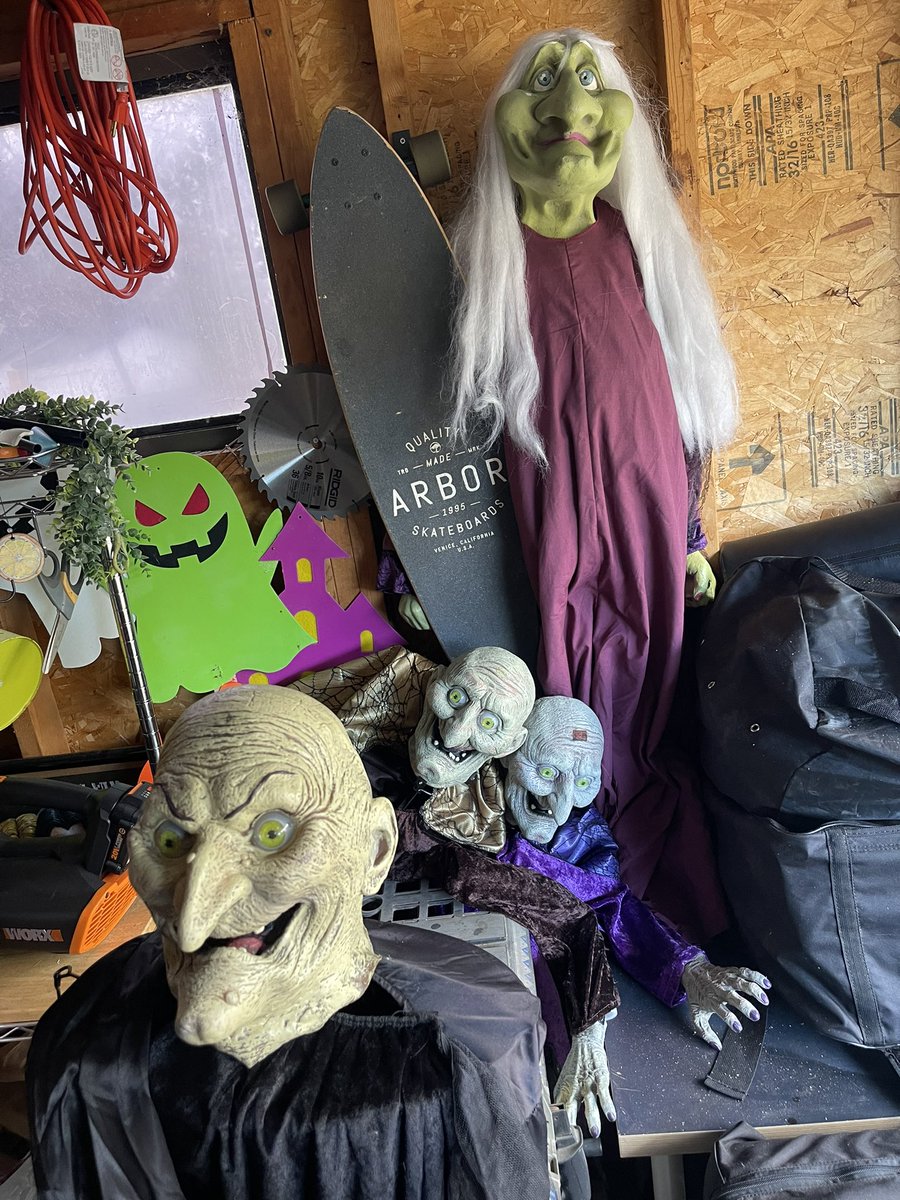 Sam Fashion tweet media