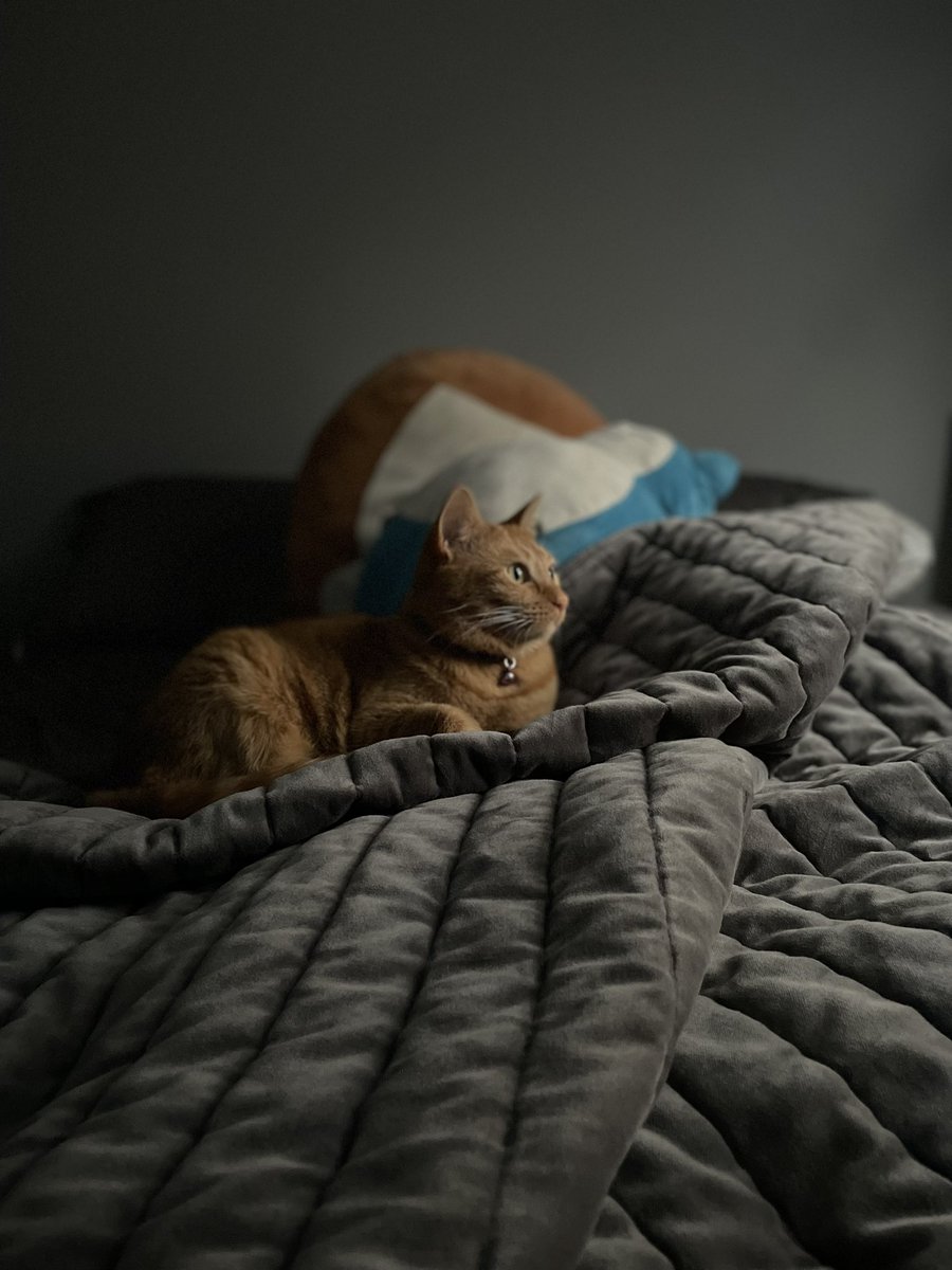 Mythiical tweet media