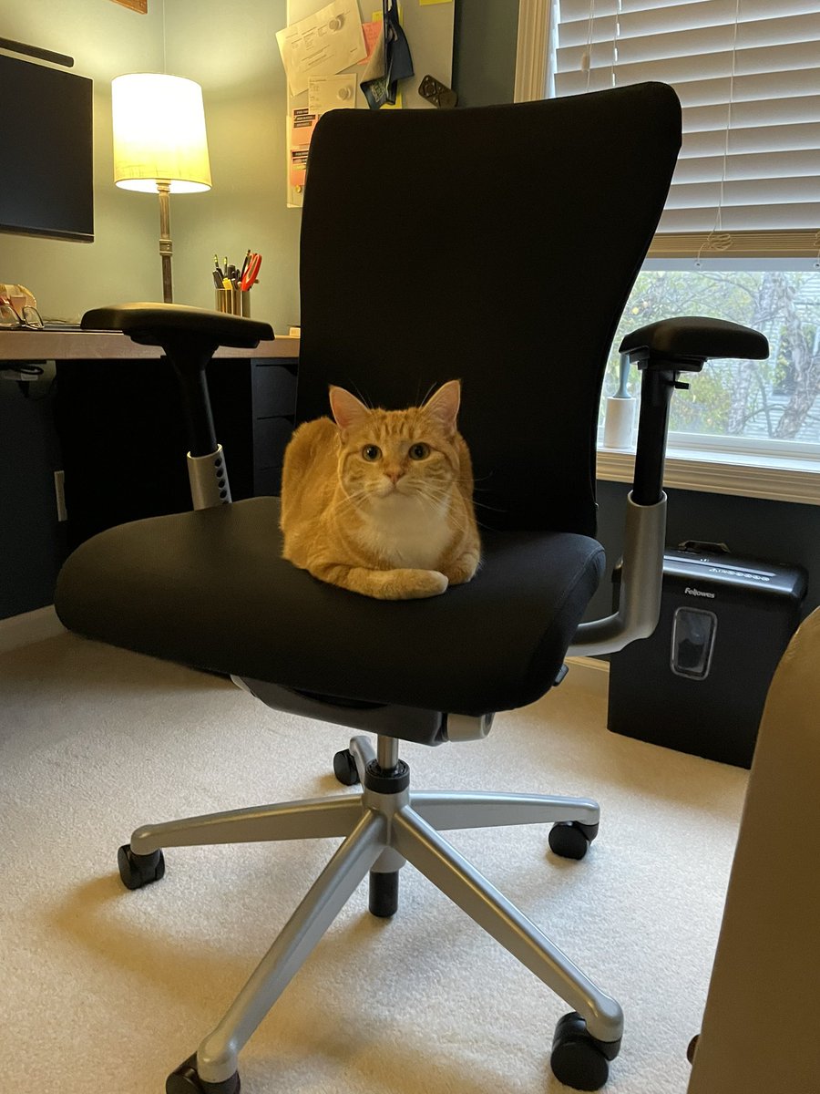 Mythiical tweet media