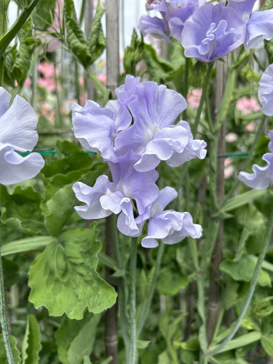 Darren Myers tweet media