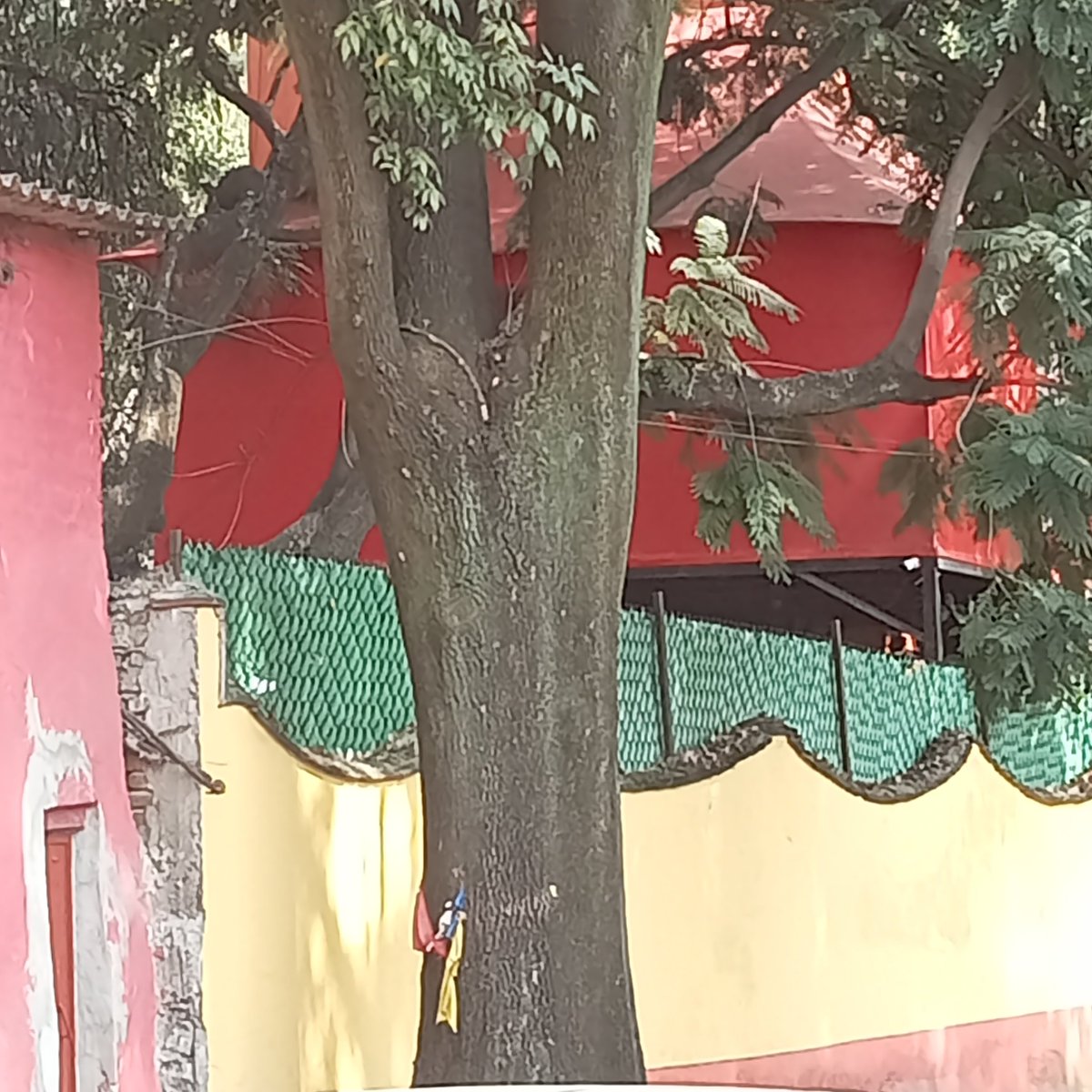 VecinosConchita's tweet photo. ✅ #Predio #UbicadoEnZonaPatrimonial
Calle Presidente Carranza número 2 opera actualmente como restaurante #ViolaciónAlUsodeSuelo #NoConsumas #NoEsComercioLocal https://t.co/1ltVupgaqG