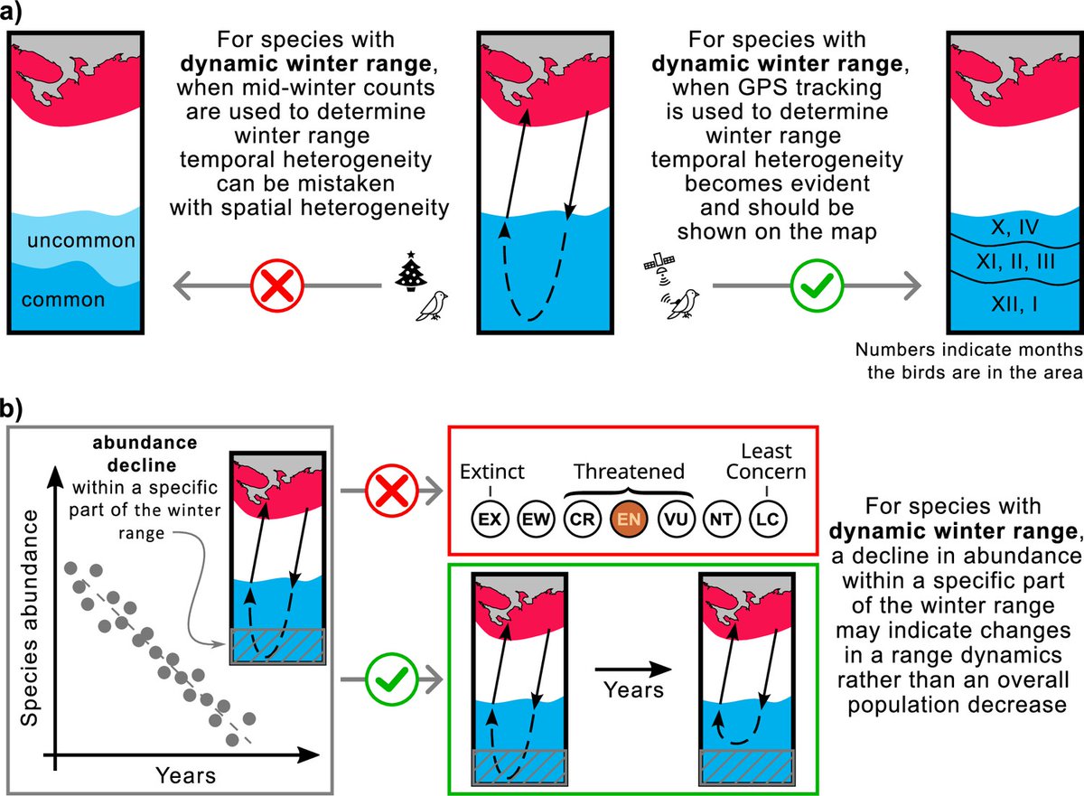 Bird Ecology & Migration Lab (@aviecomig) on Twitter photo Pokrovsky et al. (2024) Foxtrot migration and dynamic over-wintering range of an Arctic raptor <a href="/eLife/">eLife - the journal</a> doi.org/10.7554/eLife.… | <a href="/tundroved/">Ivan Pokrovsky</a> <a href="/MPI_animalbehav/">MPI-AB is on Bluesky @mpi-animalbehav.bsky.social</a> <a href="/animaltracking/">Migration Dept., Max Planck Inst. Animal Behavior</a> <a href="/CurkTeja/">Teja CURK</a> | #ornithology #birdmigration Pokrovsky et al. (2024) Foxtrot migration and dynamic over-wintering range of an Arctic raptor <a href="/eLife/">eLife - the journal</a> doi.org/10.7554/eLife.… | <a href="/tundroved/">Ivan Pokrovsky</a> <a href="/MPI_animalbehav/">MPI-AB is on Bluesky @mpi-animalbehav.bsky.social</a> <a href="/animaltracking/">Migration Dept., Max Planck Inst. Animal Behavior</a> <a href="/CurkTeja/">Teja CURK</a> | #ornithology #birdmigration