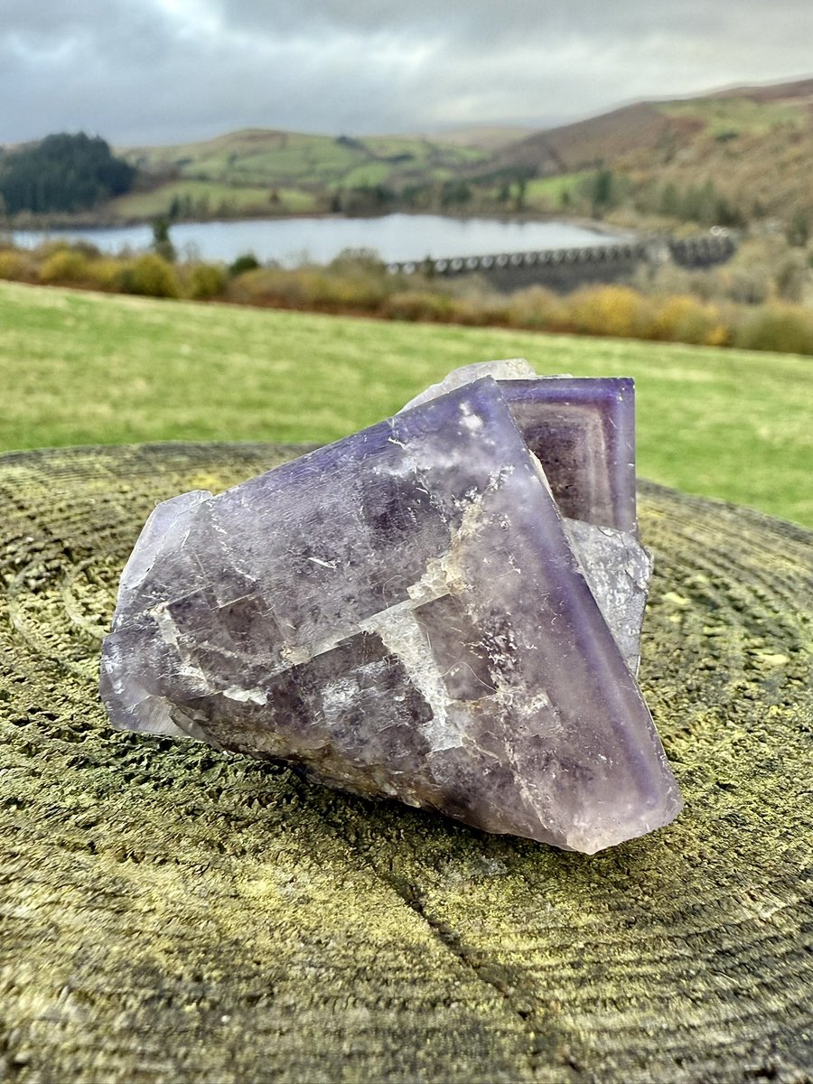 Crystal Corner Collection tweet media
