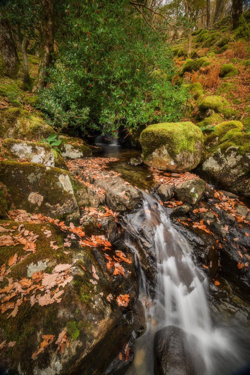 David Rippin🏔🌳📷🧗‍♂️🚴‍♂️🇪🇺 tweet media