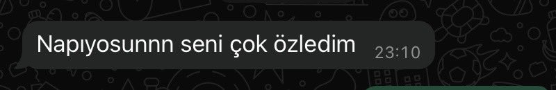 ba13bahar's tweet photo. akıl sağlığımı 2-3 gün daha koruyacak o mesaj https://t.co/kMojZENHmS