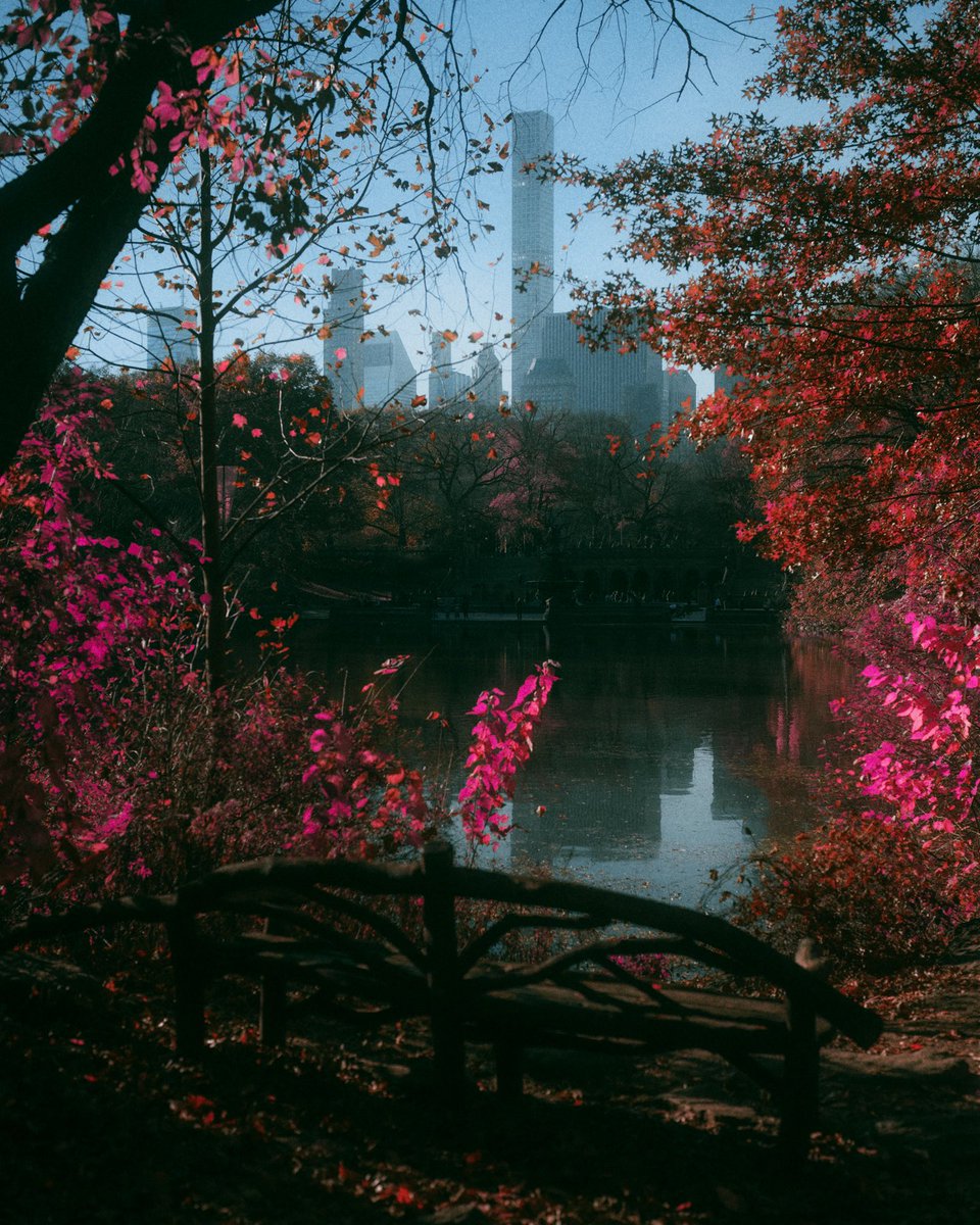 Eric Rihlmann tweet media