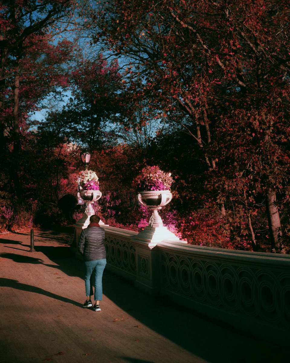 Eric Rihlmann tweet media