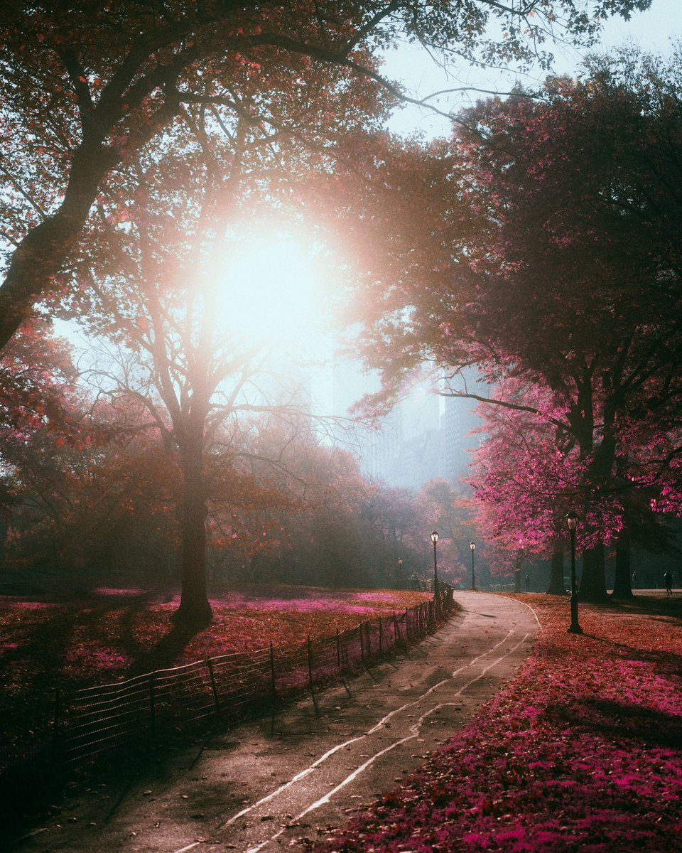 Eric Rihlmann tweet media