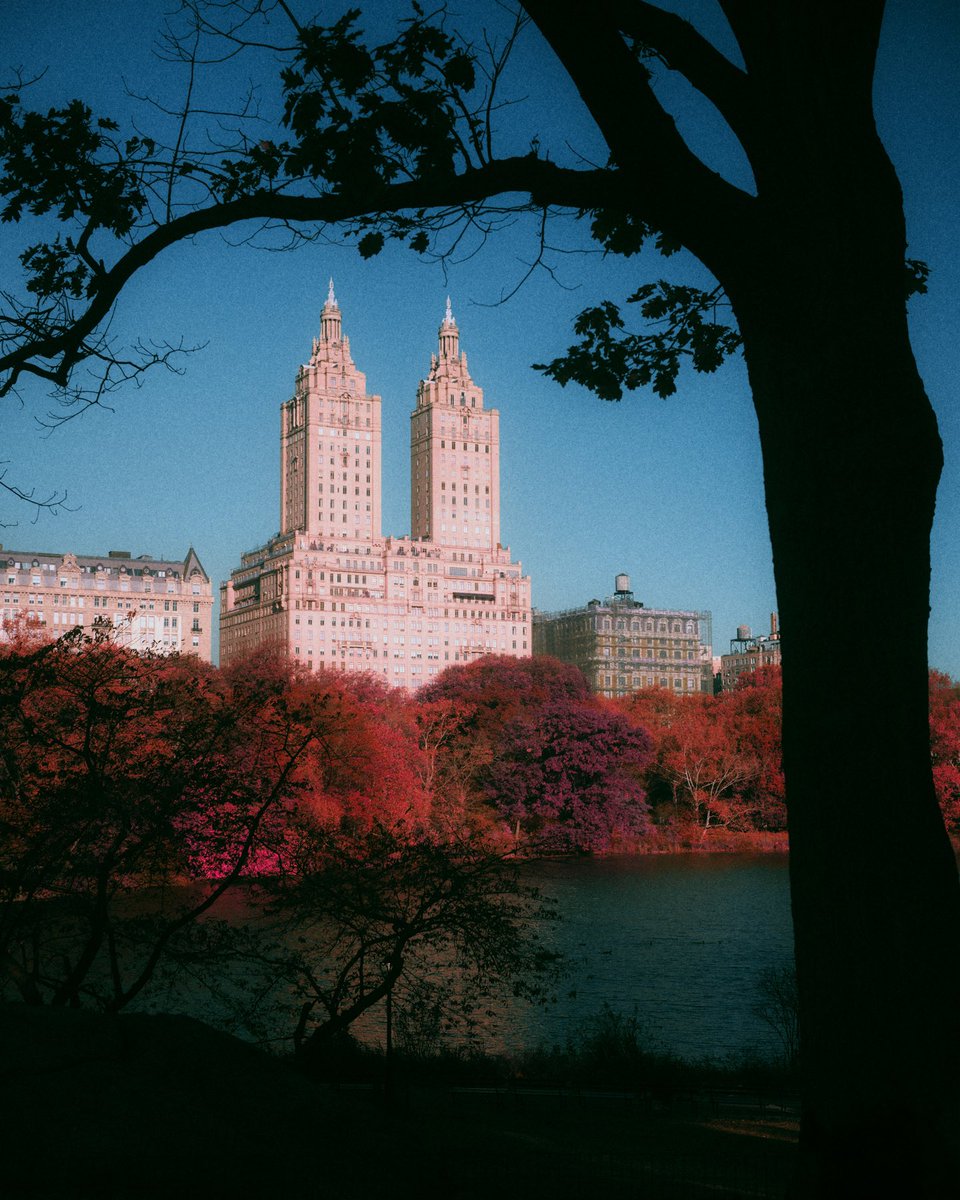 Eric Rihlmann tweet media