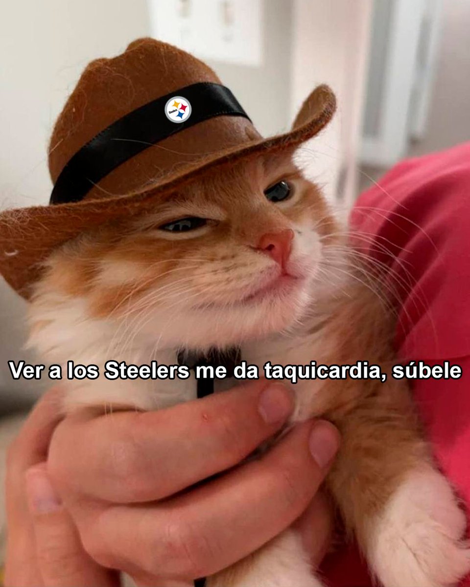 LosSteelers's tweet photo. 😅 https://t.co/Ev5LxJIyM6
