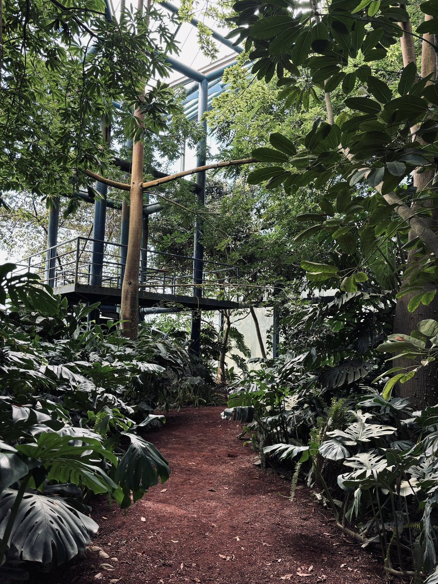 cindyroaming's tweet photo. 📍Parque Bicentenario Refinería CDMX

#cdmx #dondeir #Mexico #HappySunday https://t.co/o2hWmFC5o4
